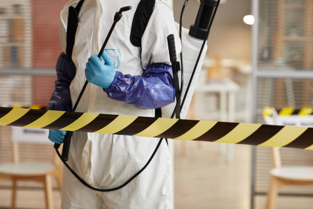 Professional Odor Removal technician working in Pennville, IN